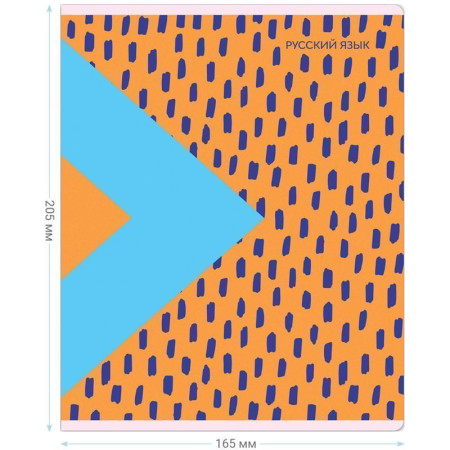 Тетрадь предметная 48л. MESHU "Bright splash" - Русский язык, матовая ламинация, выборочный УФ-лак RE-MS_42563