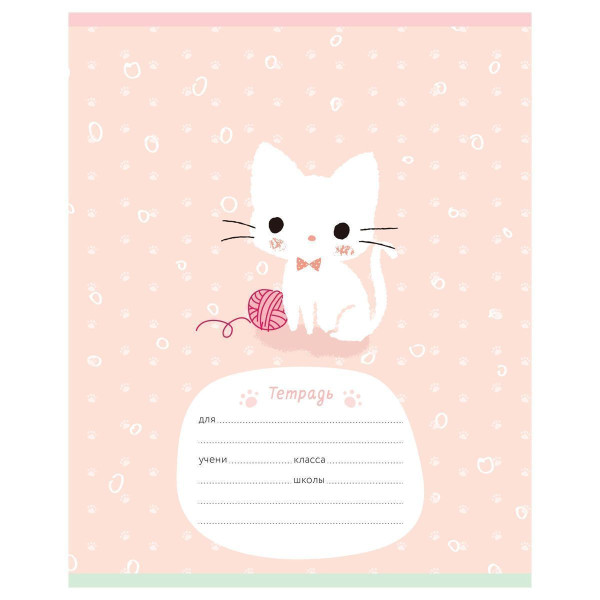 Тетрадь 12л. A5 клетка MESHU "Little kitty" RE-MS_50150/1
